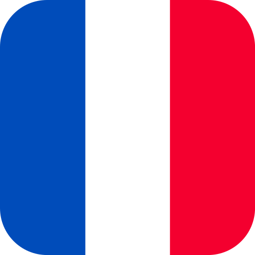 Langue française icon